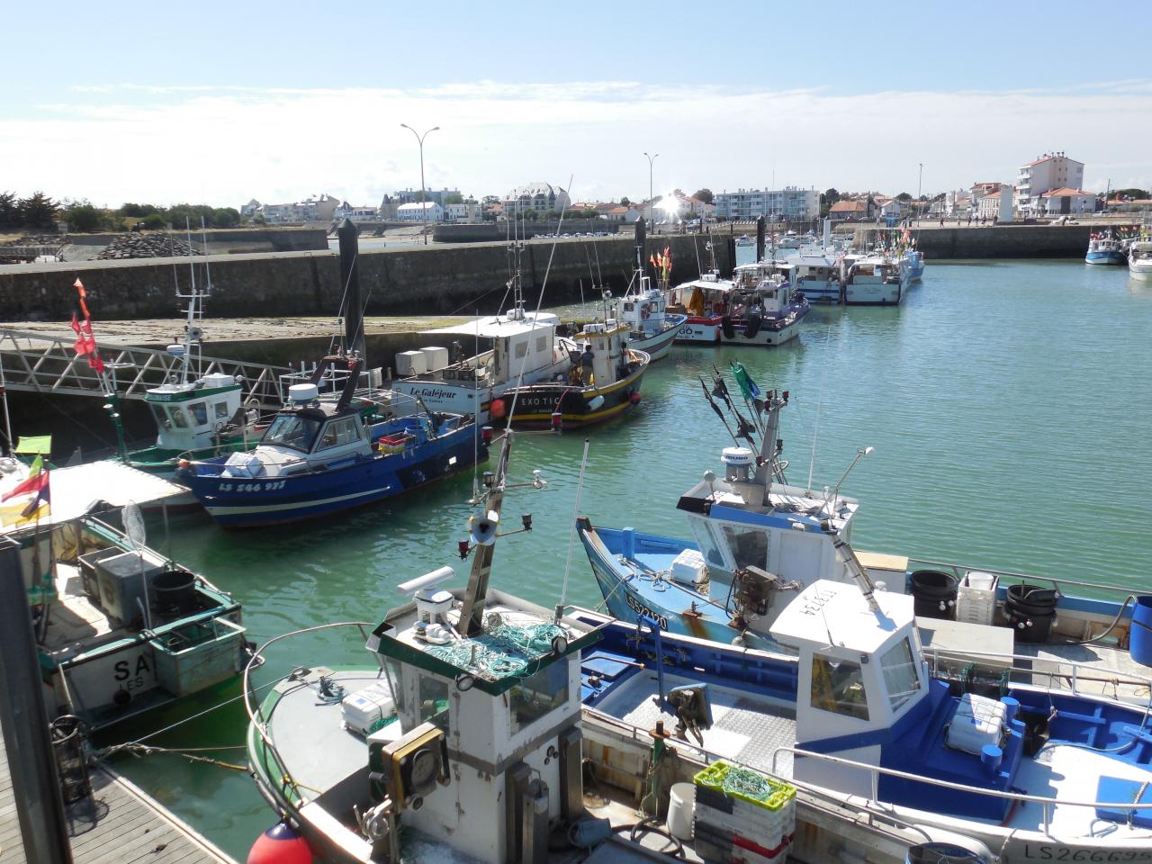 La Flotille des Bateaux de Pêche prête à naviguer.