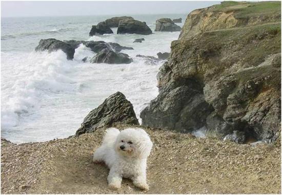 Océan Furieux sur la Corniche Sauvage.